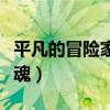 平凡的冒险家灵魂有什么用（平凡的冒险家灵魂）