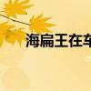 海扁王在车里听的音乐（海扁王音乐）