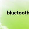bluetoothmoduledoesnotload意思