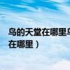 鸟的天堂在哪里鸟的天堂为什么能成为鸟的天堂（鸟的天堂在哪里）