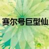 赛尔号巨型仙人掌技能（赛尔号巨型仙人掌）