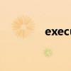 executeupdate()什么意思