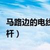 马路边的电线杆歇后语下一句（马路边的电线杆）