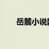岳麓小说网 锋火三月（岳麓小说网）