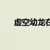 虚空幼龙在哪里买（虚空龙在哪里买）