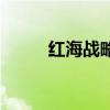 红海战略含义（什么是红海战略）