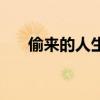 偷来的人生普法栏目剧（偷来的人生）