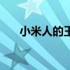 小米人的王国手机版（小米人的王国）