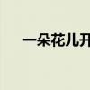 一朵花儿开就有一朵花儿败什么歌歌词