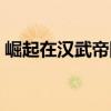 崛起在汉武帝国中的地位（崛起在汉武帝国）