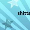 shittah gl百度云（shittah）