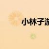 小林子游戏网址（小林子游戏网）