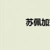 苏佩加空难影响（苏佩加空难）