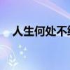 人生何处不绽放 小说（人生何处不绽放）