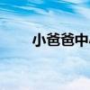 小爸爸中小艾扮演者（小艾扮演者）