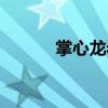 掌心龙岩麻将手机版（掌心龙）