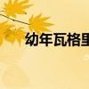 幼年瓦格里什么属性好（幼年瓦格里）
