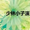 少林小子演员表名单（少林小子演员表）