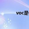 voc是什么格式（voc是什么）