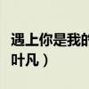 遇上你是我的缘叶凡现场版（遇上你是我的缘叶凡）