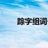 踪字组词一年级简单的（踪字组词）