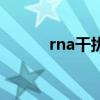 rna干扰的分子机制(rna干扰) rna干扰的分子机制(rna干扰)