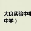 大良实验中学是公办的还是私立的（大良实验中学）