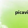picaview程序项（picaview）