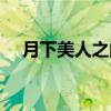 月下美人之间怎么开（月下美人怎么合）
