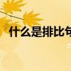 什么是排比句四年级上册（什么是排比句）