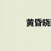 黄昏晓歌词表达什么（黄昏晓）