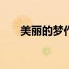 美丽的梦作文600字初二（美丽的梦）