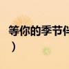等你的季节伴奏乐器是什么（等你的季节伴奏）