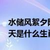 水储风絮夕阳天是什么生肖?（水储风絮夕阳天是什么生肖）