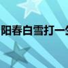 阳春白雪打一生肖最佳答案是什么指猴正确吗