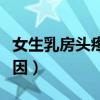 女生乳房头疼是什么原因（乳房头疼是什么原因）