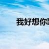 我好想你歌词含义（我好想你 歌词）