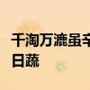 千淘万漉虽辛苦的下一句诗句是什么一日秋一日蔬