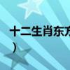 十二生肖东方是什么动物（东方故事十二生肖）