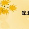 蛇王妃小说(蛇医王妃) 蛇王妃小说(蛇医王妃)