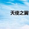 天使之翼钉鞋多少钱（钉鞋多少钱）