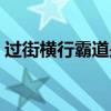 过街横行霸道是指哪个生肖（过街横行霸道）