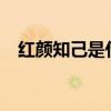 红颜知己是什么意思?（红颜是什么意思）