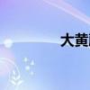 大黄藤素注射剂(大黄藤) 大黄藤素注射剂(大黄藤)