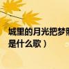 城里的月光把梦照亮是什么歌王力宏（城里的月光把梦照亮是什么歌）