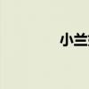 小兰好可怜（可怜的小兰）
