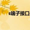 s端子接口是什么意思（s端子是什么）