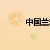 中国兰寿网论坛（中国兰寿网）