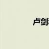 卢剑秋破案了吗（卢剑秋）