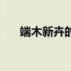 端木新卉的结婚照（端木新卉的老公）
